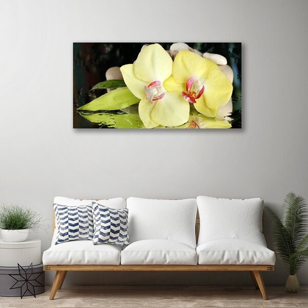 Quadro su tela Petali di fiori di un'orchidea 100x50 cm