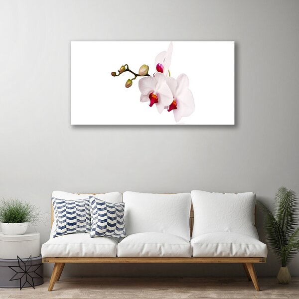 Quadro su tela Fiori di orchidea della natura 100x50 cm