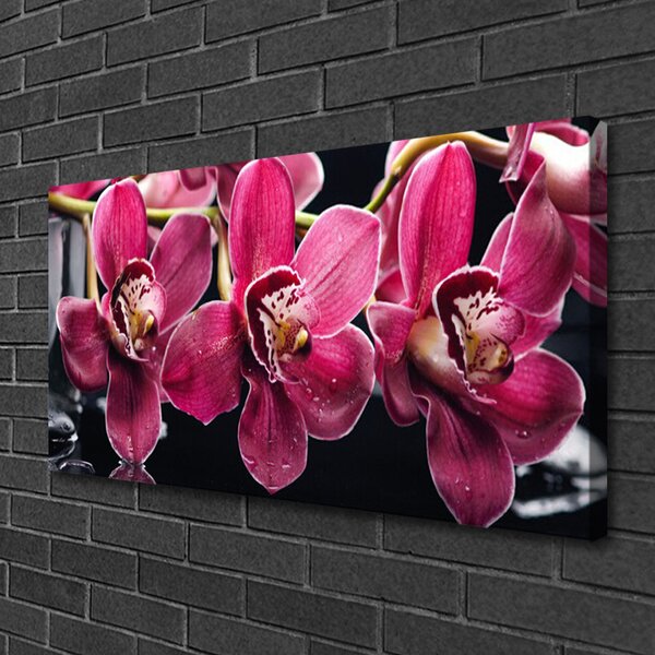Foto quadro su tela Fiori, orchidea, natura 100x50 cm