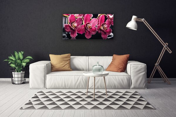 Foto quadro su tela Fiori, orchidea, natura 100x50 cm
