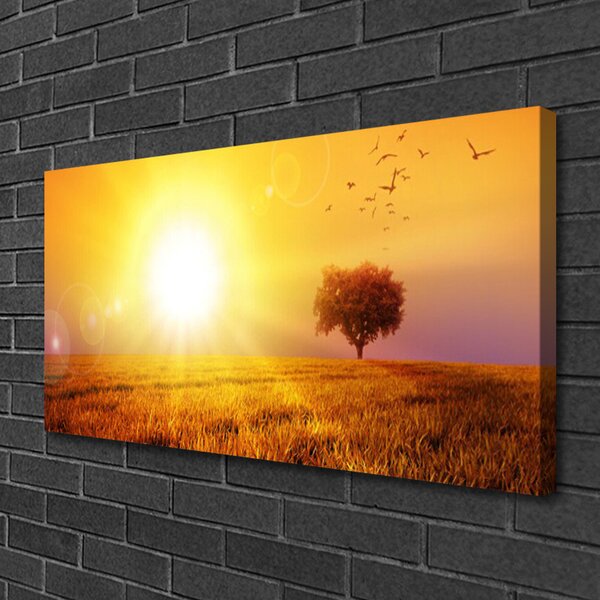Quadro su tela Uccelli del prato al tramonto 100x50 cm