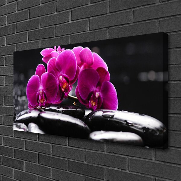Quadro su tela Pietre Zen dell'Orchid Spa 100x50 cm