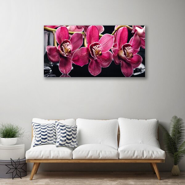 Foto quadro su tela Fiori, orchidea, natura 100x50 cm