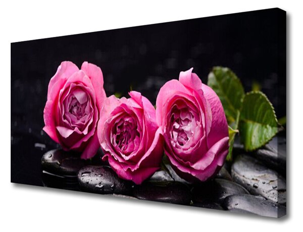Quadro su tela Rose Pietre Zen Spa Natura 100x50 cm