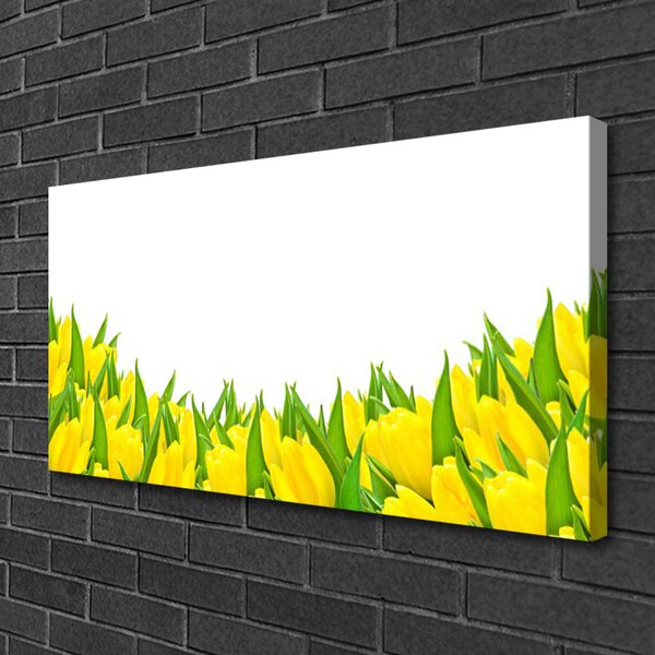 Quadro su tela Fiori Natura Tulipani 100x50 cm