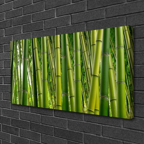 Quadro su tela Foresta di bambù Germogli di bambù 100x50 cm