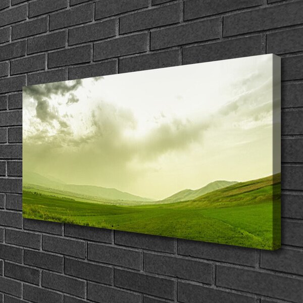 Quadro su tela Vista della natura del prato verde 100x50 cm