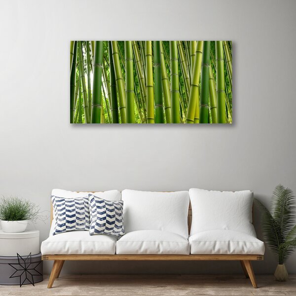 Quadro su tela Foresta di bambù Germogli di bambù 100x50 cm