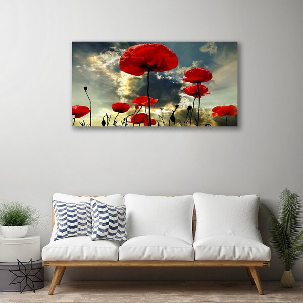 Quadro su tela Papaveri, fiori, natura 100x50 cm