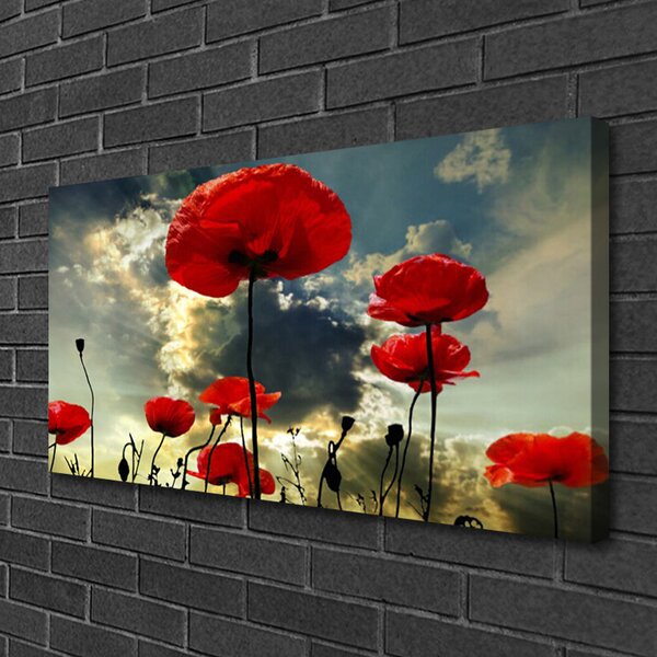 Quadro su tela Papaveri, fiori, natura 100x50 cm
