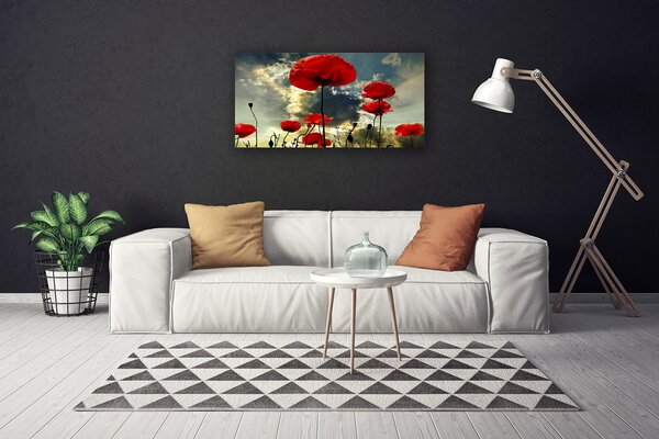 Quadro su tela Papaveri, fiori, natura 100x50 cm