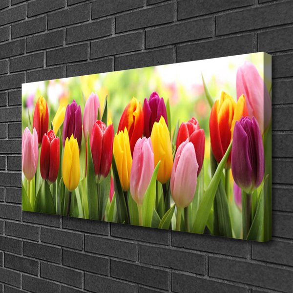 Quadro su tela Tulipani, fiori, natura 100x50 cm