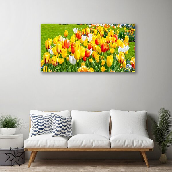 Quadro su tela Tulipani, fiori, natura 100x50 cm