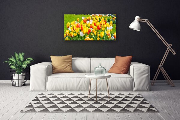Quadro su tela Tulipani, fiori, natura 100x50 cm