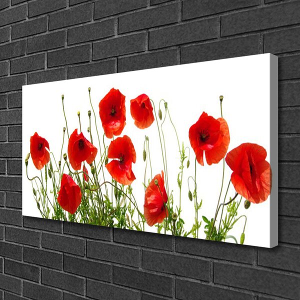 Quadro stampa su tela Papaveri, fiori, natura 100x50 cm