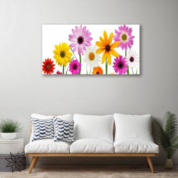 Quadro su tela Fiori colorati della natura 100x50 cm