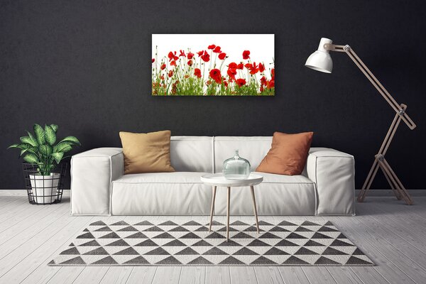 Quadro su tela Papaveri, fiori, natura 100x50 cm