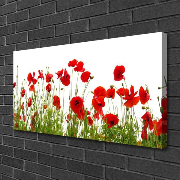 Quadro su tela Papaveri, fiori, natura 100x50 cm