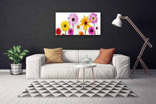 Quadro su tela Fiori colorati della natura 100x50 cm