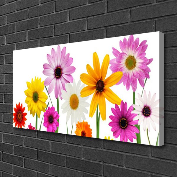 Quadro su tela Fiori colorati della natura 100x50 cm