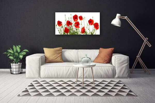 Quadro stampa su tela Papaveri, fiori, natura 100x50 cm