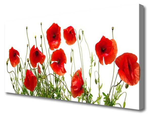 Quadro stampa su tela Papaveri, fiori, natura 100x50 cm