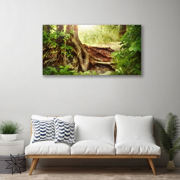 Quadro su tela Albero Stock Natura Foresta 100x50 cm