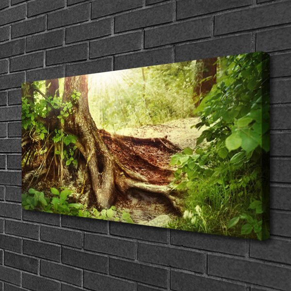Quadro su tela Albero Stock Natura Foresta 100x50 cm