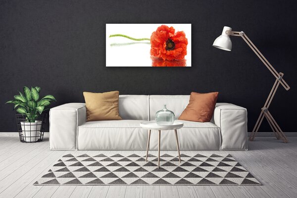 Quadro su tela Natura Natura Fiori 100x50 cm