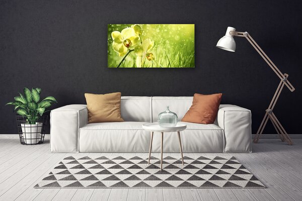 Quadro su tela Erba Natura Pianta 100x50 cm