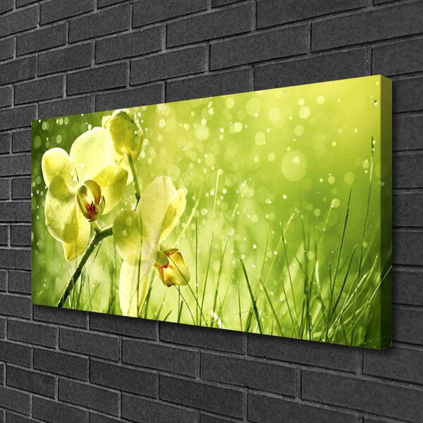 Quadro su tela Erba Natura Pianta 100x50 cm