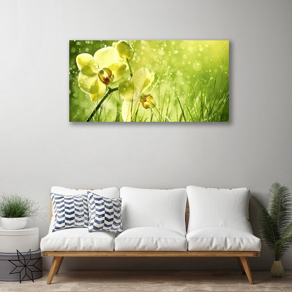 Quadro su tela Erba Natura Pianta 100x50 cm