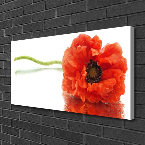 Quadro su tela Natura Natura Fiori 100x50 cm