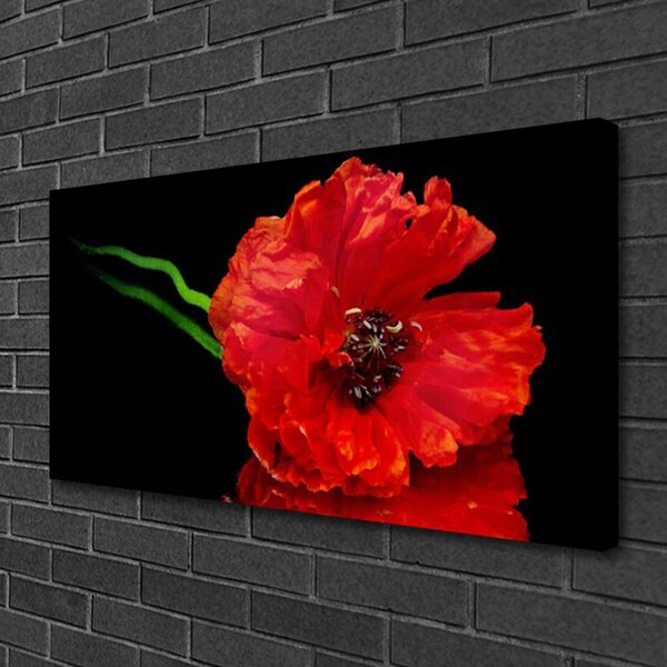 Foto quadro su tela Natura della pianta del papavero del fiore 100x50 cm