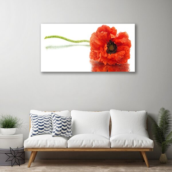 Quadro su tela Natura Natura Fiori 100x50 cm