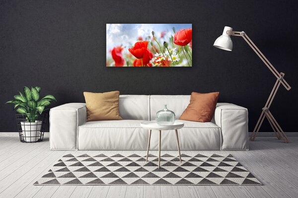 Quadro su tela Papaveri Margherita Fiori 100x50 cm