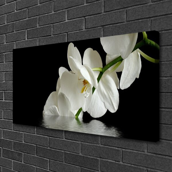 Stampa quadro su tela Orchidea in fiori d'acqua 100x50 cm