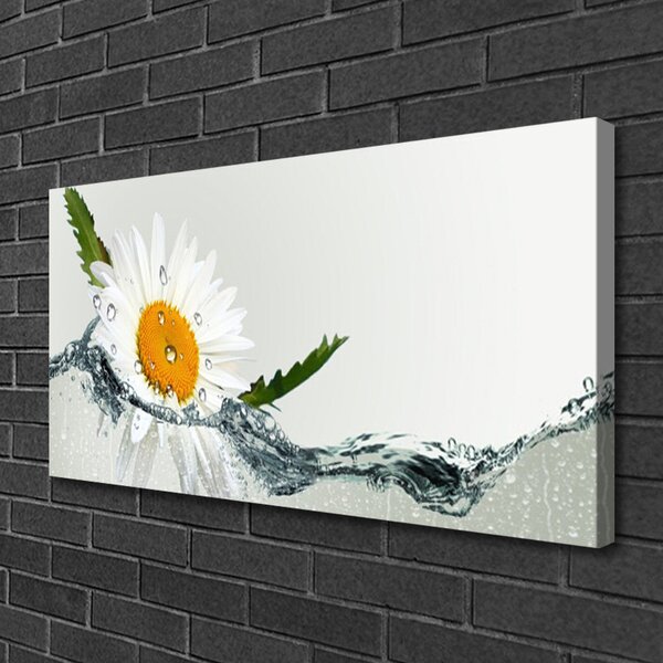 Quadro su tela Margherita in acqua Pianta 100x50 cm
