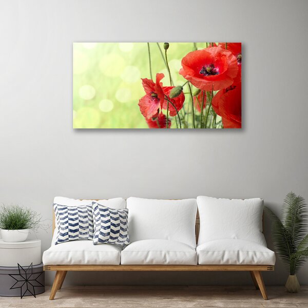 Quadro su tela Papaveri, fiori, natura 100x50 cm