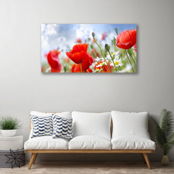 Quadro su tela Papaveri Margherita Fiori 100x50 cm