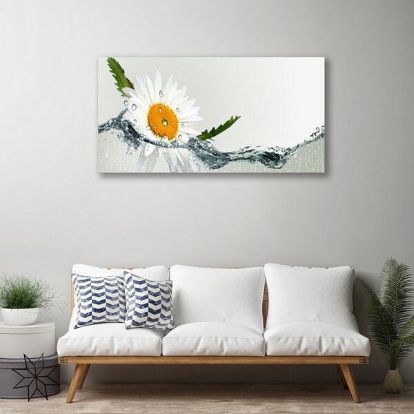 Quadro su tela Margherita in acqua Pianta 100x50 cm