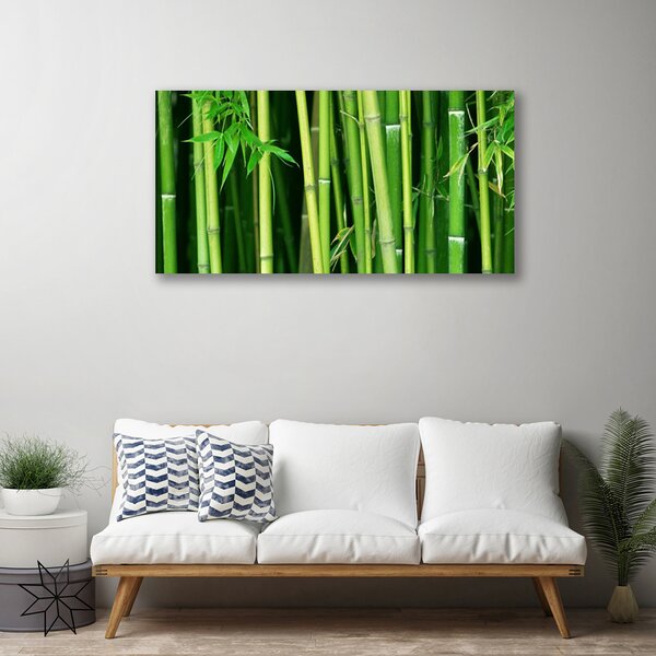 Quadro su tela Foresta di bambù Natura di bambù 100x50 cm