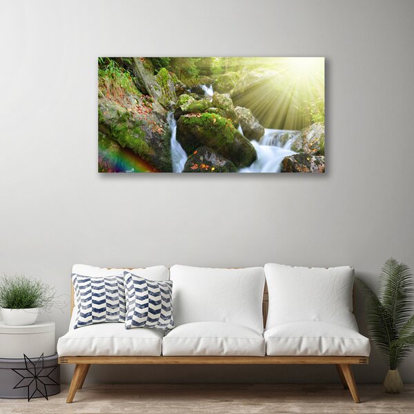 Quadro su tela Cascata di Tęcza Natura Potok 100x50 cm