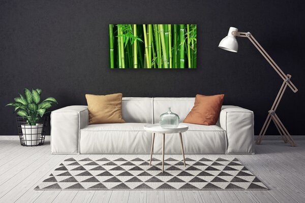 Quadro su tela Foresta di bambù Natura di bambù 100x50 cm