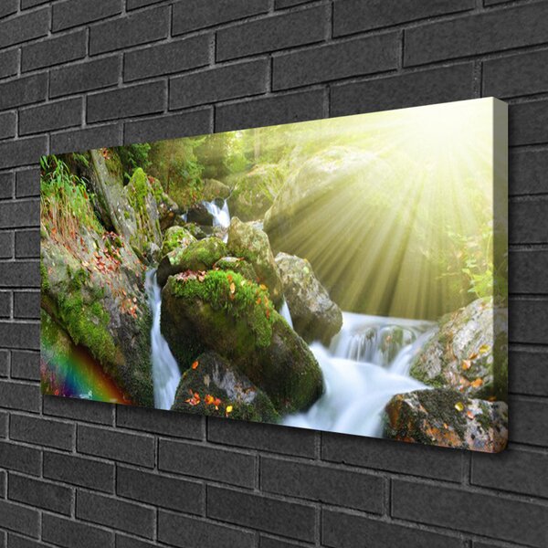 Quadro su tela Cascata di Tęcza Natura Potok 100x50 cm
