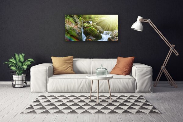 Quadro su tela Cascata di Tęcza Natura Potok 100x50 cm