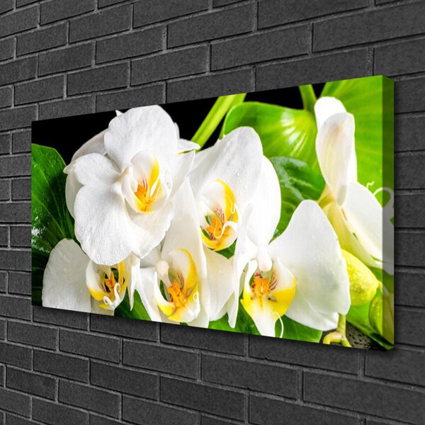Quadro stampa su tela Fiori di orchidea Natura 100x50 cm