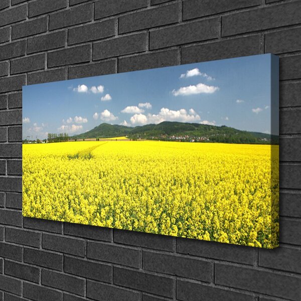 Stampa quadro su tela Campo di prato Natura di colza 100x50 cm