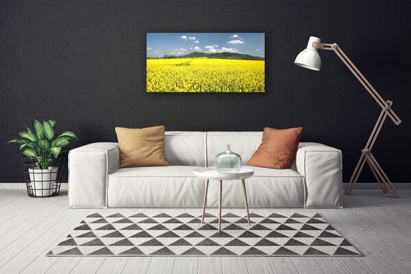 Stampa quadro su tela Campo di prato Natura di colza 100x50 cm