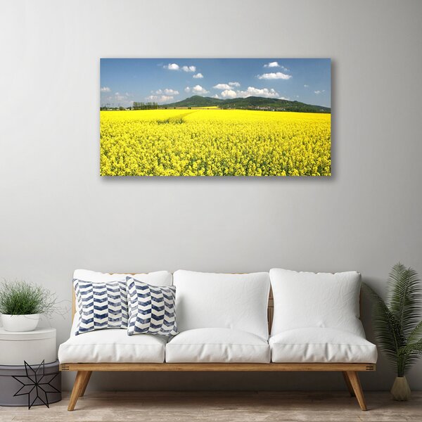 Stampa quadro su tela Campo di prato Natura di colza 100x50 cm